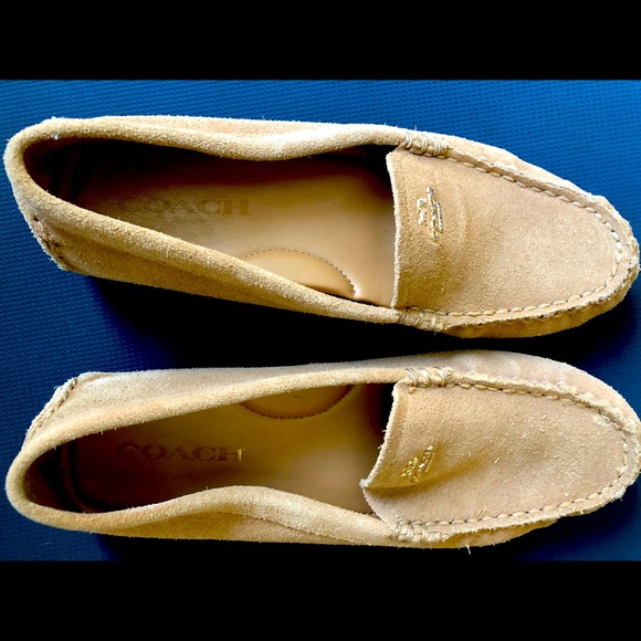 COACH Amber flats - Picture 5 of 8